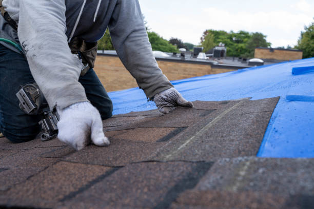 Best Roof Waterproofing Services  in Marshallville, GA